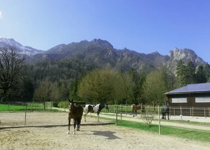 Gestuet Pfaffenlehen