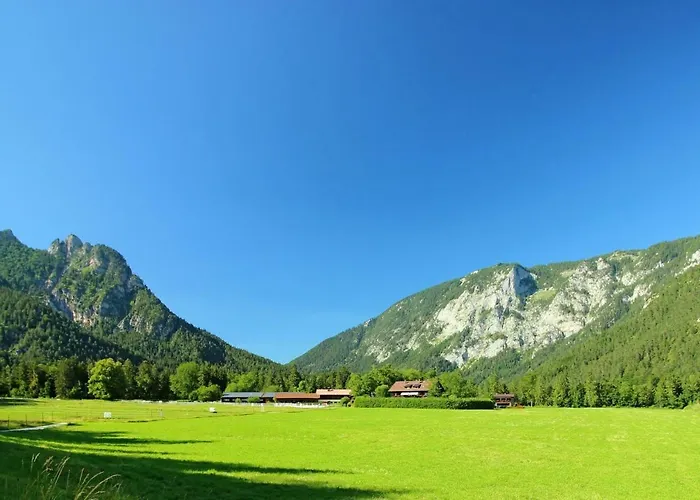Gestuet Pfaffenlehen Bischofswiesen
