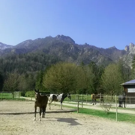 Gestuet Pfaffenlehen