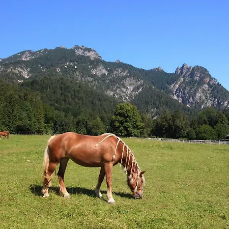 Holiday home Gestuet Pfaffenlehen
