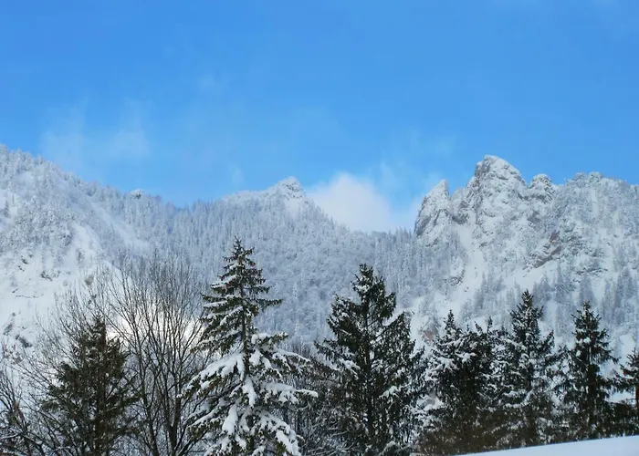 Gestuet Pfaffenlehen *